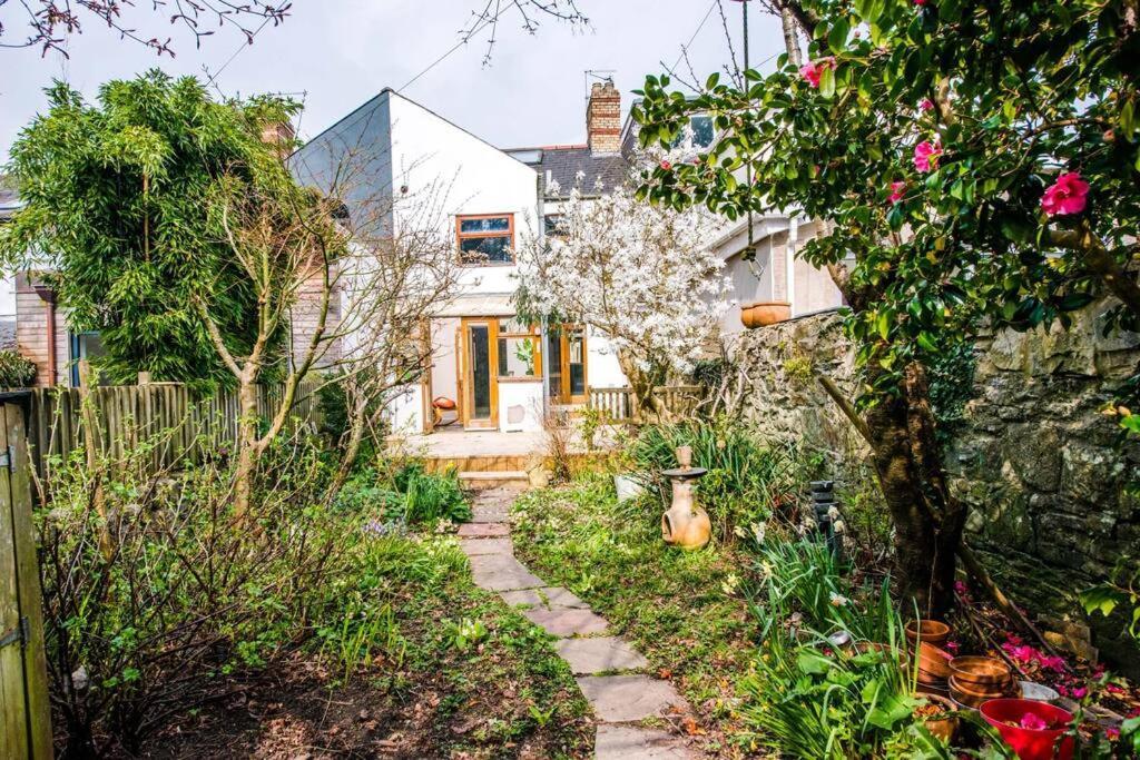 Gorgeous Victorian House Sleeps 6 In Cardiff Villa Exteriör bild